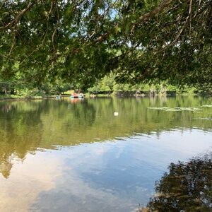 Meet your Posher, C. teresa